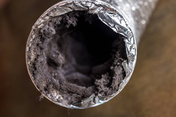 Best Commercial HVAC Duct Cleaning  in El Cerro Mission, NM
