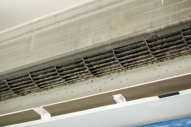 Best Residential Air Duct Cleaning  in El Cerro Mission, NM